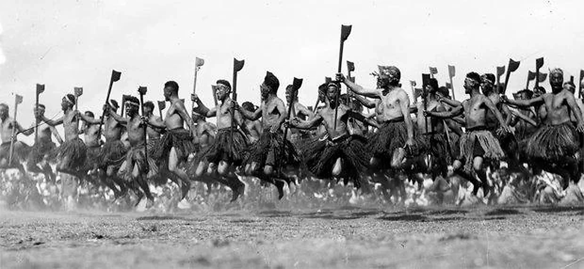 Fila de guerreros māori ejecutando una haka ceremonial con tewhatewha, foto de archivo de principios del siglo XX. Referencia cultural elegida por Leo Martínez para el hero de Koru Tatau, estudio de tatuaje maorí y polinesio en Granollers, Barcelona.